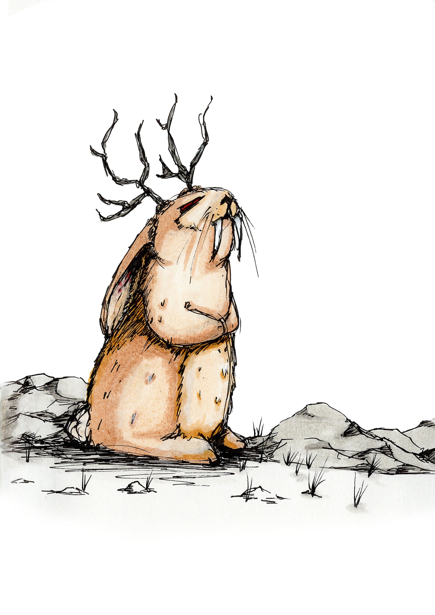 "Jackalope" 4 x 6 print