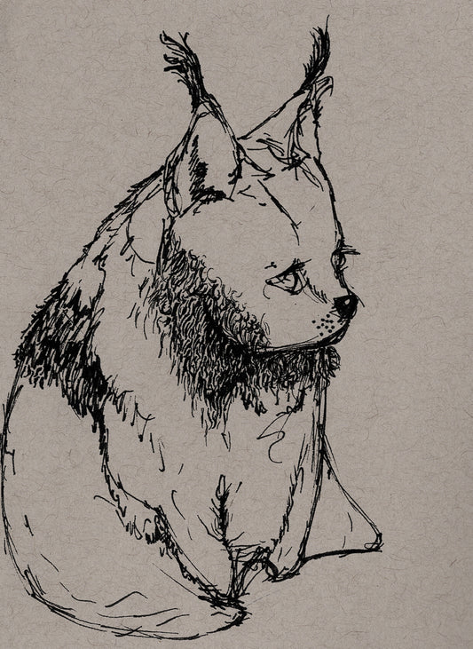 "Lynx" 4 x 6 print